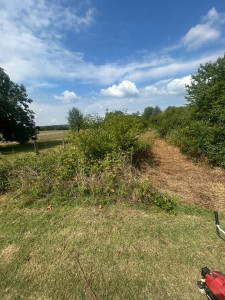 Photo de galerie - Défrichage d’un terrain 
