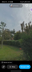 Photo de galerie - élagage taille d'arbre taille de haie 
