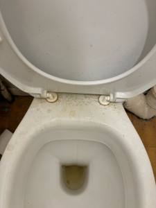 Photo de galerie - État des sanitaires avant intervention 