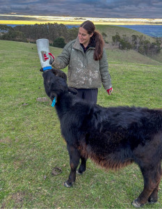 Photo de galerie - Petsitting dans le monde entier ?