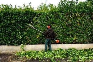 Photo de galerie - à Crevin