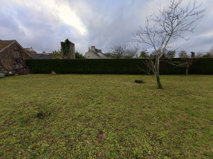 Photo de galerie - Taille de haie