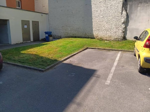 Photo de galerie - Tonte de pelouse - Débroussaillage