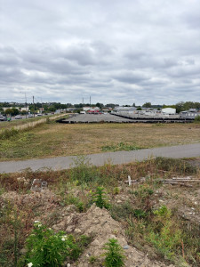 Photo de galerie - Débroussaillage 