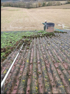 Photo de galerie - Couverture - Toiture