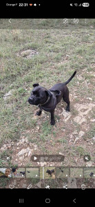 Photo de galerie - Balade 
