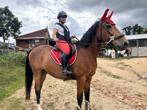 Photo de galerie - Pension chevaux