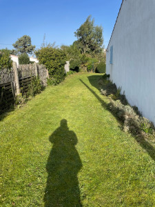 Photo de galerie - Tonte de pelouse - Débroussaillage