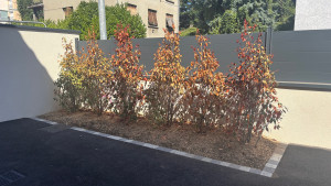 Photo de galerie - Jardinier