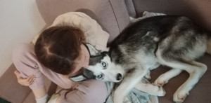 Photo de galerie - Garde animaux