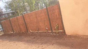 Photo de galerie - Paysagiste - Aménagement du jardin