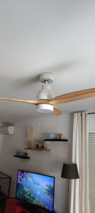 Photo de galerie - Pose ventilateur de plafond 