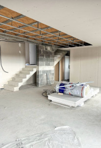 Photo de galerie - Banjo de plaquiste