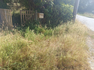 Photo de galerie - Tonte de pelouse - Débroussaillage