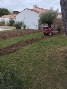 Photo de galerie - Création de pelouse 