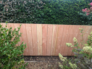 Photo de galerie - Clôture verticale en Douglas 