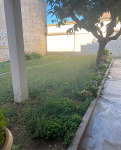 Photo de galerie - Tonte de pelouse - Débroussaillage