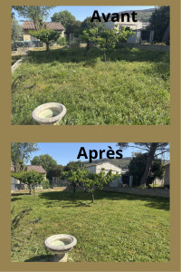 Photo de galerie - Tonte 