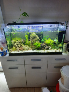 Photo de galerie - Je suis à votre disposition 