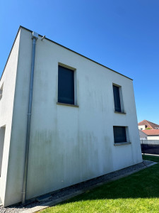 Photo de galerie - Nettoyage et entretien façade avec dépôt mousse verte et pollution.