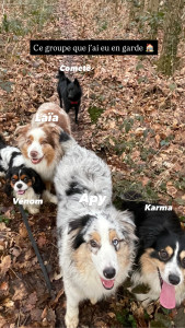 Photo de galerie - Balade groupée 