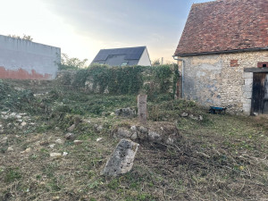 Photo de galerie - Elagage et coupe d'arbres