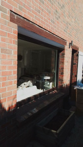 Photo de galerie - Nettoyeur de vitres