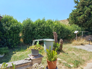 Photo de galerie - Haie avant intervention 