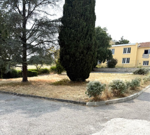 Photo de galerie - Tonte de pelouse - Débroussaillage