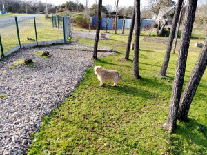 Photo de galerie - Tondeuse sur 6m2 