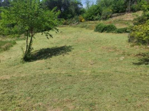 Photo de galerie - Tonte de pelouse - Débroussaillage