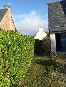 Photo de galerie - Entretiens d'espaces vert