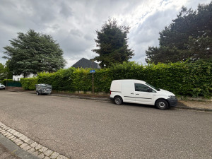 Photo de galerie - Avant taille 
