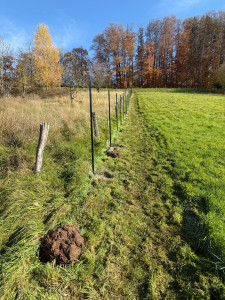 Photo de galerie - Grillage souples 