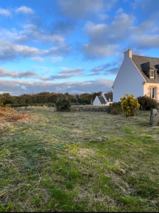 Photo de galerie - Résultat après débroussaillage.