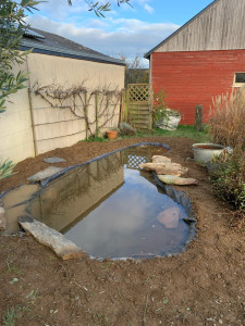 Photo de galerie - Création de bassin aquatique.