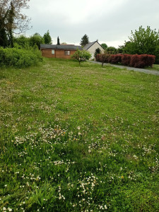 Photo de galerie - Jardinier