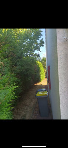 Photo de galerie - Paysagiste - Aménagement du jardin