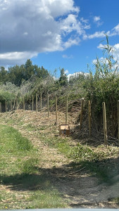 Photo de galerie - Clôture Grillage