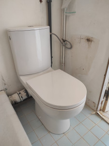 Photo de galerie - Wc et pose sanitaire