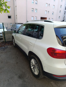 Photo de galerie - Disponible sur Annemasse et 30km a ces environ commander vs corse contacter moi je vais vous les ramener 