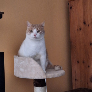 Photo de galerie - Le petit rookie 