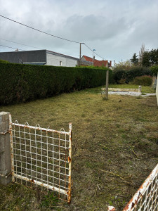 Photo de galerie - Tonte de pelouse et taille de haie 