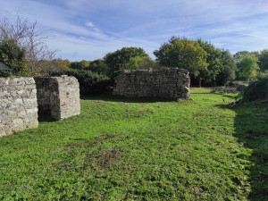 Photo de galerie - Tonte de pelouse - Débroussaillage