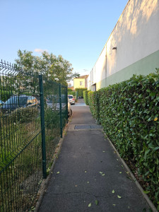 Photo de galerie - Taille de haies 