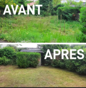Photo de galerie - Débroussaillage 