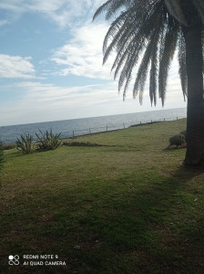 Photo de galerie - Entretien de jardin 