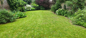Photo de galerie - Entretien de jardin