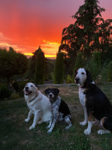 Photo de galerie - Couché de soleil ?☀️