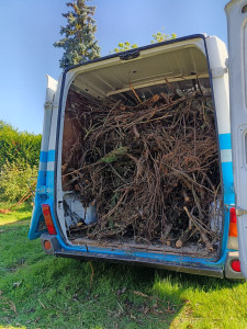 Photo de galerie - Débarrasage de vis végéta??️